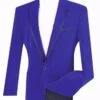 Velvet Regular Fit Men's Blazer In Royal Blue