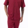 Burgundy Tone On Tone Vertical Stripes Walking Suit 2 Piece Short Sleeve Set