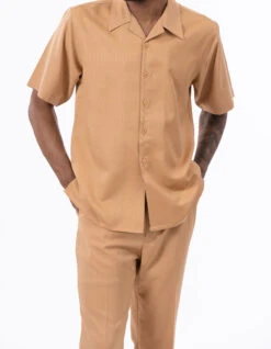 Tan Walking Suit Tone On Tone Vertical Stripes 2 Piece Short Sleeve Set