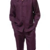 Plum Tone-on-Tone 2 Piece Long Sleeve Walking Suit Set