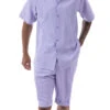 Lavender Tone On Tone Vertical Stripes Walking Suit 2 Piece Short Sleeve Set With Shorts