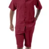 Burgundy Tone On Tone Vertical Stripes Walking Suit 2 Piece Short Sleeve Set With Shorts