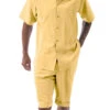 Gold Tone On Tone Vertical Stripes Walking Suit 2 Piece Short Sleeve Set With Shorts
