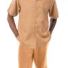 Tan Walking Suit Tone On Tone Vertical Stripes 2 Piece Short Sleeve Set With Shorts