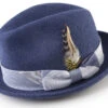 Wool Felt Fedora With Feather Accent In Navy
