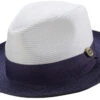 Dark Purple Two-Tone Wide Brim Matching Grosgrain Ribbon Straw Fedora