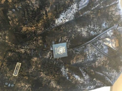 Empire Collection - Regular Fit Black And Gold With Fancy Metallic Pattern Sports Coat 6 Empire Collection - Regular Fit Black And Gold With Fancy Metallic Pattern Sports Coat -Outlet Suit Refined Store IMG 0578 1