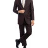 Bacchus Collection - Regular Fit Suit 2 Button 2 Piece In Chocolate