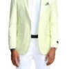 (S) Slim Fit Blazer 2 Button In Solid Mint