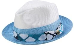 Men's Straw Fedora Hat In Blue