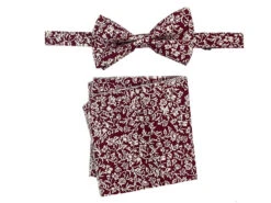Men's Bowtie And Hanky Accessory Set In Burgundy Floral