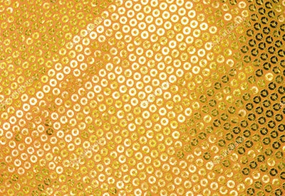 Spotlight Collection - Regular Fit Gold Sequins Party Jacket 2 Spotlight Collection - Regular Fit Gold Sequins Party Jacket - Image 2